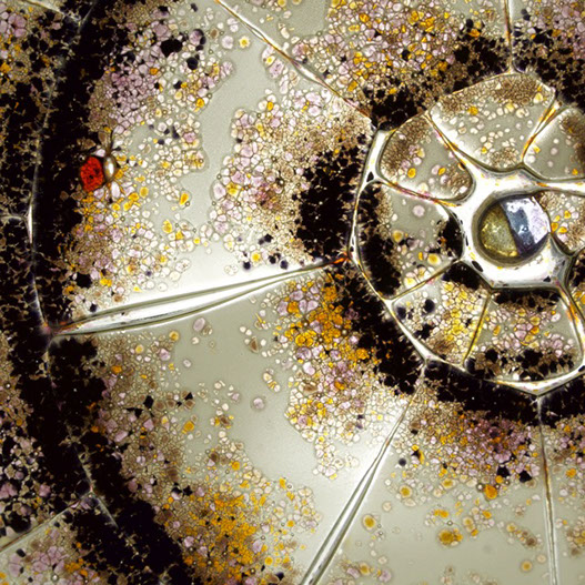 snegl-escargot-lampe-verre-fusing-detail